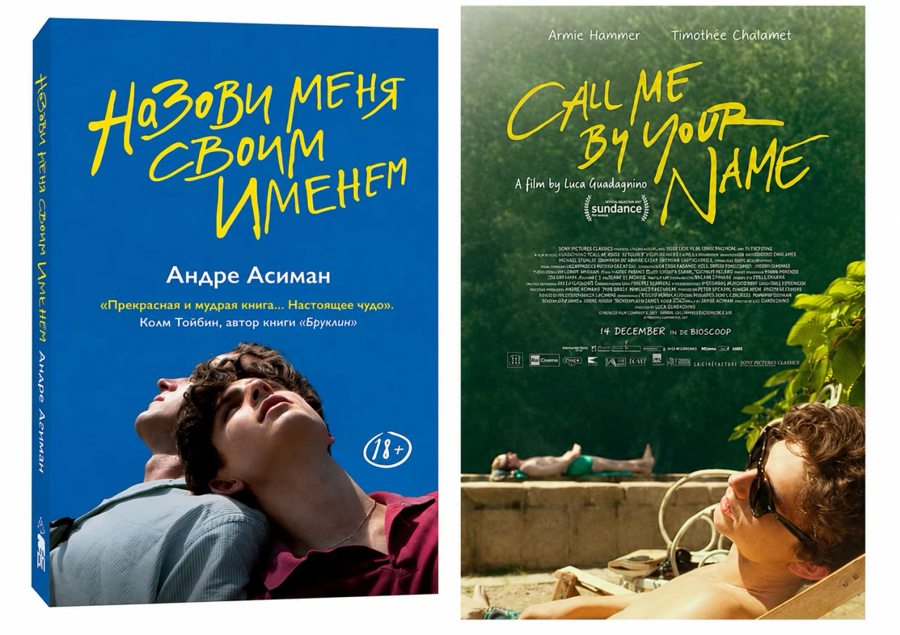 Иллюстрация к разделу «3. Назови меня своим именем (Италия, Франция, Бразилия, США, 2017)»